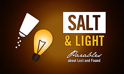 SaltLight_web